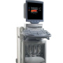 acuson sequoia 256 cardiac ultrasound sale