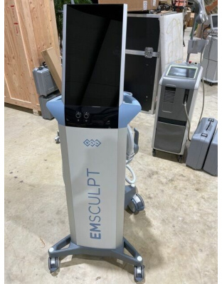 btl aesthetics emsculpt 2019 2 large paddles 2 small paddles sale