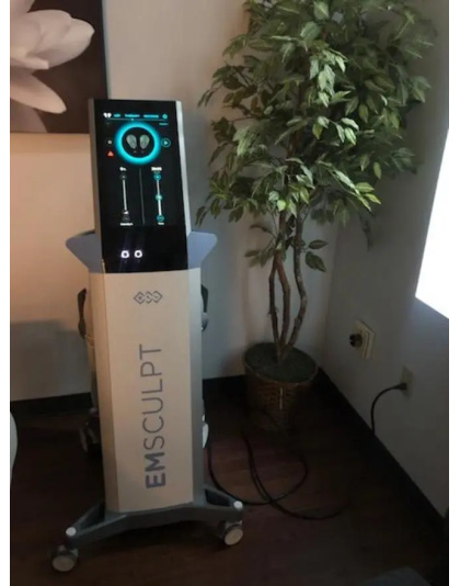 btl aesthetics emsculpt 2018 sale