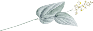 leaves-2